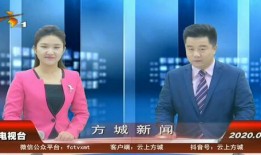 河南省卫视爆料新闻,最新爆料新闻背后的故事